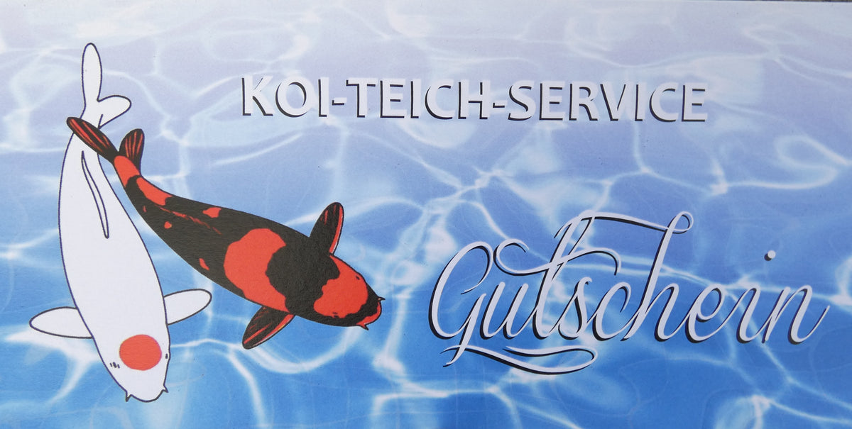 Gutschein Koi Teich Service